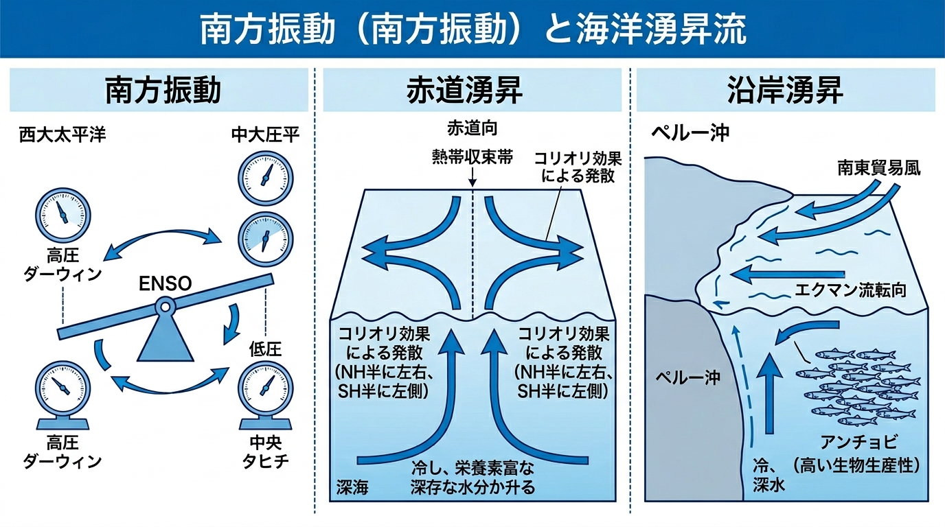 南方振動・ENSO・湧昇