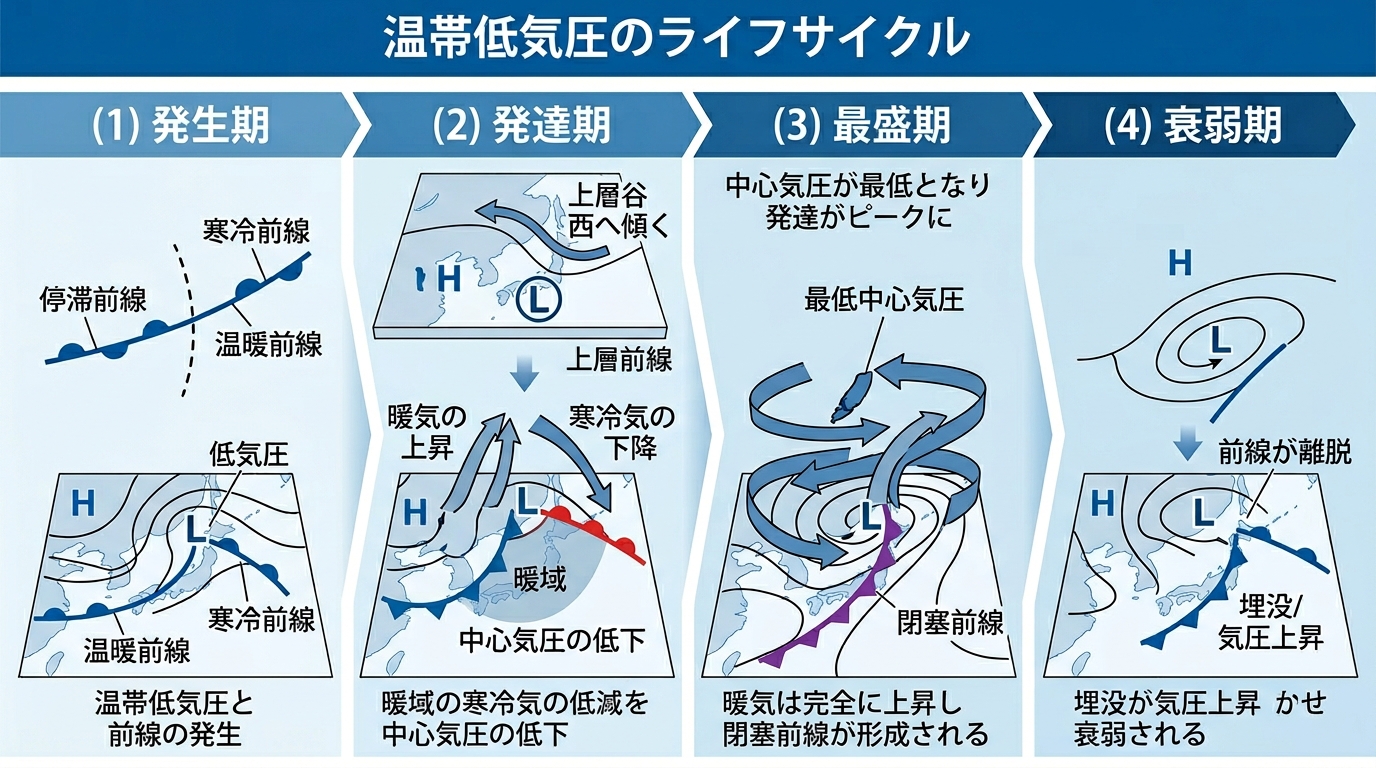温帯低気圧のライフサイクル（発生期・発達期・最盛期・衰弱期）
